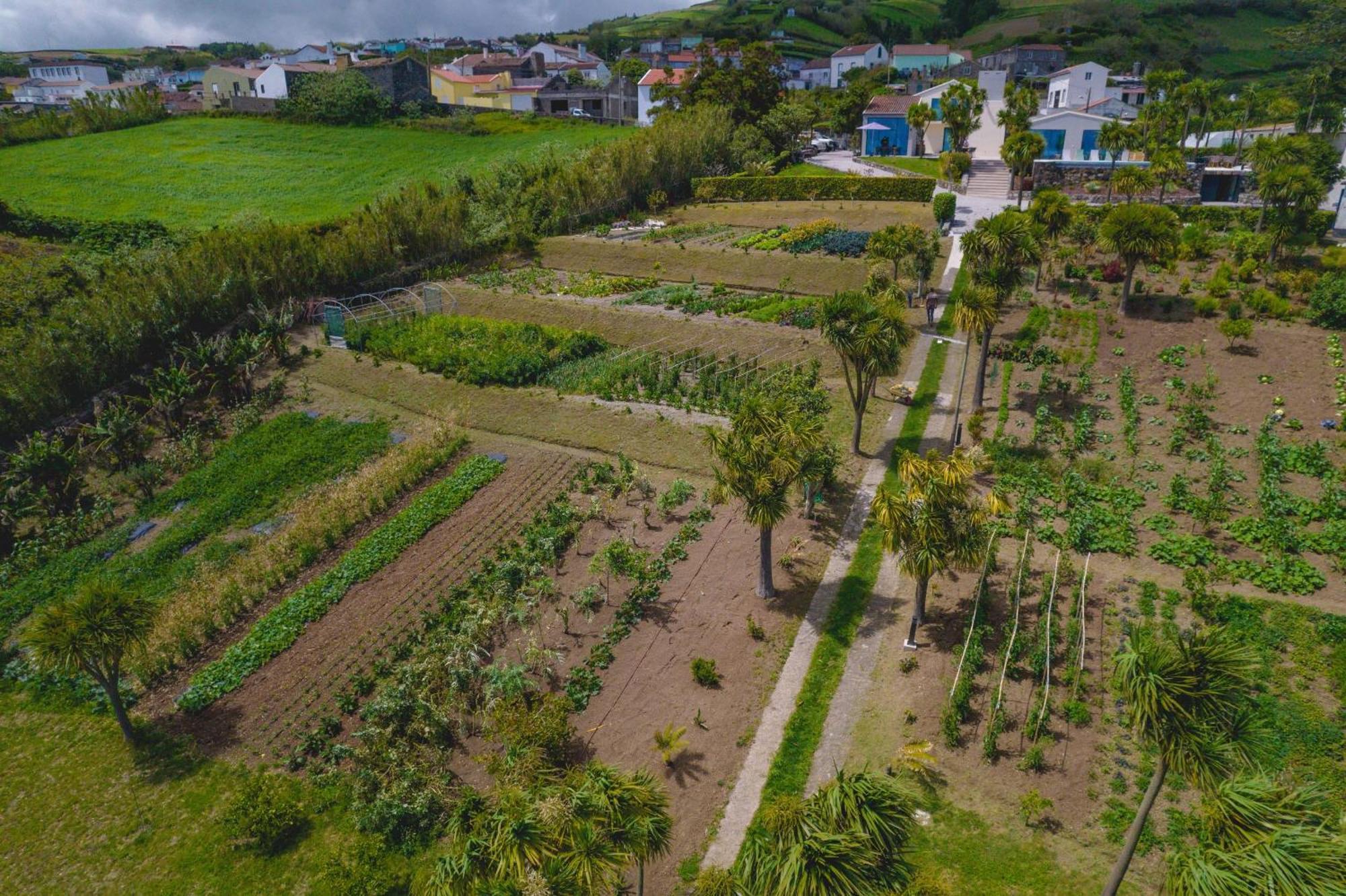 Bed and Breakfast Idonea Ponta Garca Екстер'єр фото